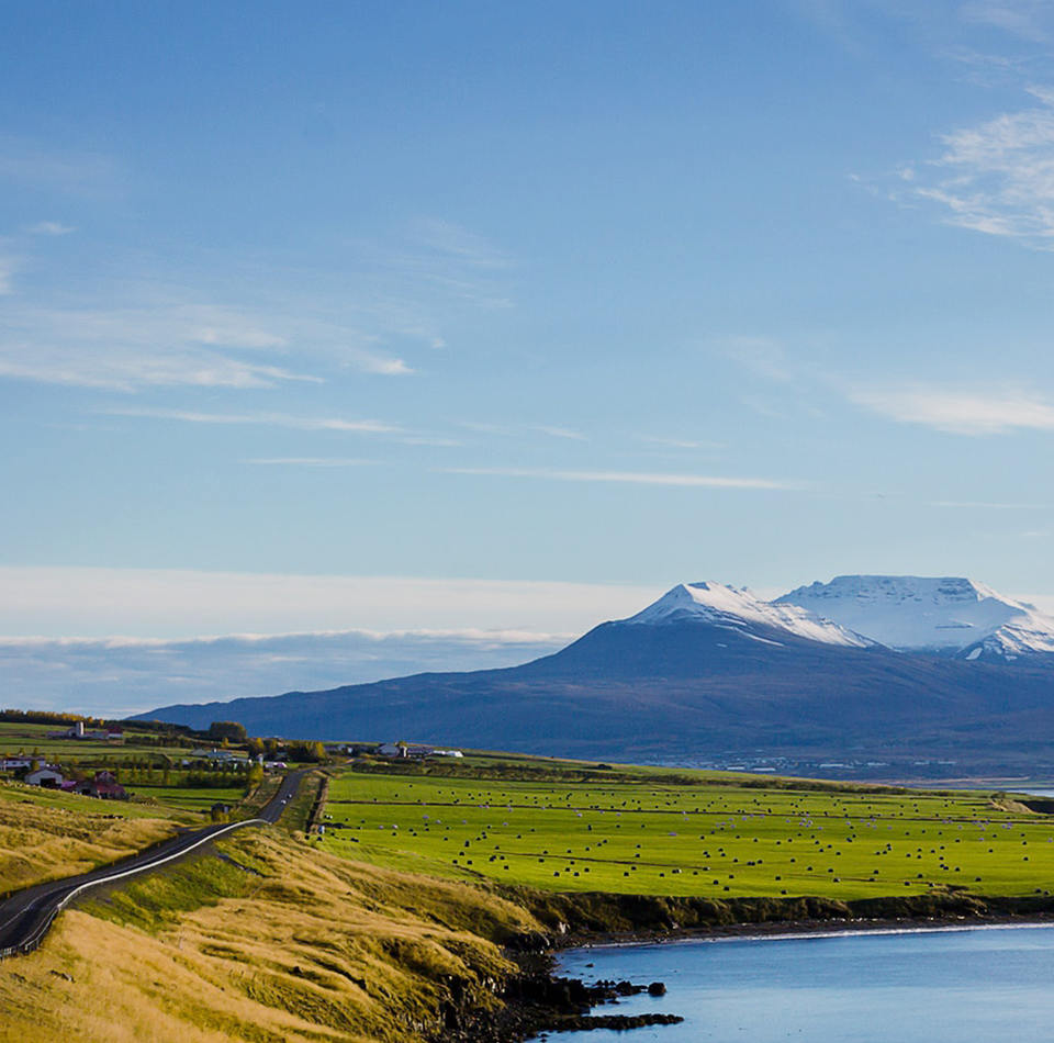 基于深度調峰和高堿燃料的智慧環保島控制大模型及相關優質技術